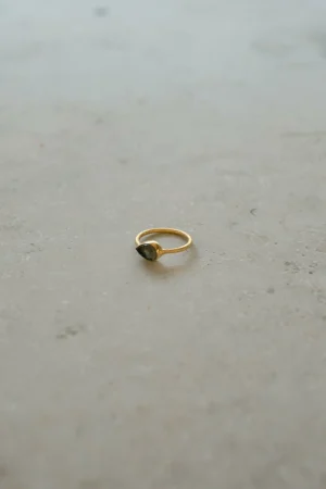 By bar Ringen<Pd Minimal Ring