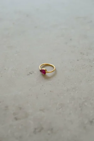 By bar Ringen<Pd Minimal Ring