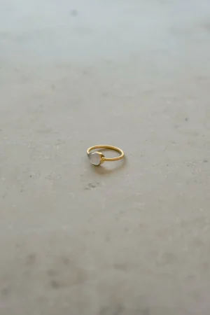 By bar Ringen<Pd Minimal Ring